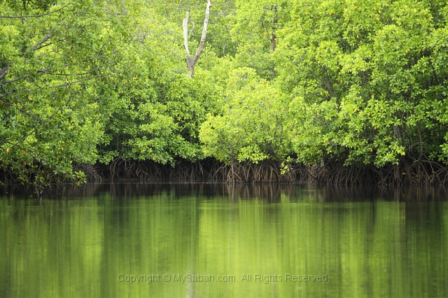 river-cruise-25_2418.jpg