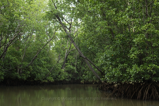 river-cruise-25_2605.jpg