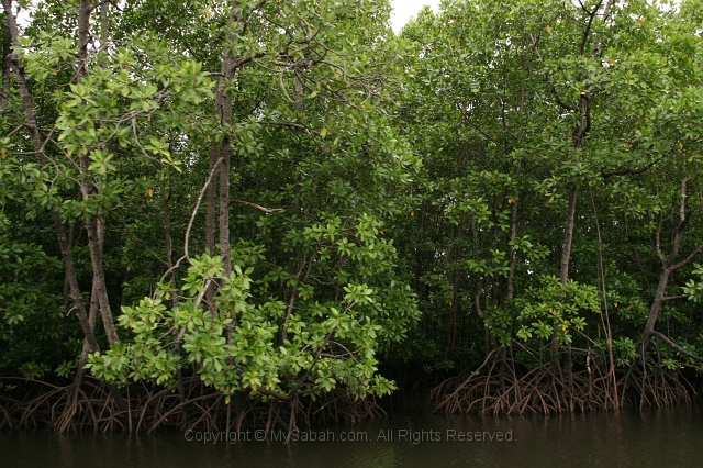 river-cruise-25_7829.jpg