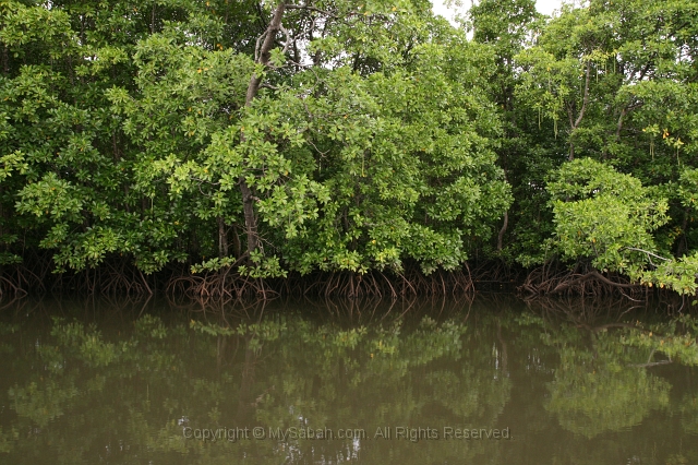 river-cruise-25_7830.jpg