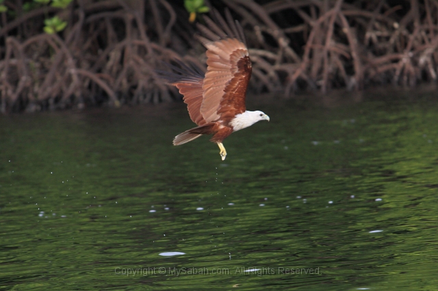 river-cruise-27_2525.jpg