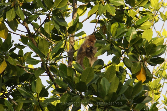 river-cruise-27_2565.jpg