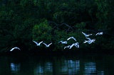 river-cruise-30_2651