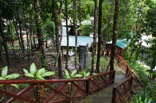 sepilok-mangrove-g_9041.jpg