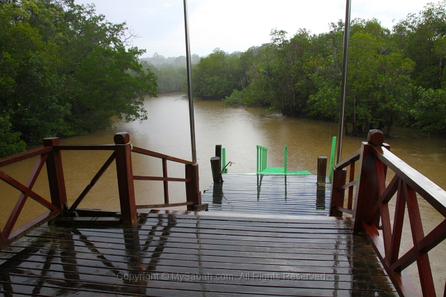 sepilok-mangrove-img_8999.jpg