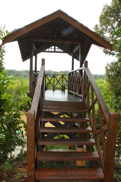 sepilok-mangrove-img_9063.jpg