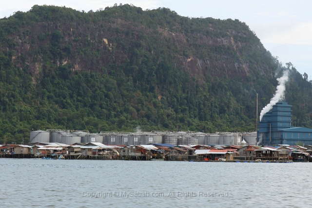 sepilok-mangrove-r_9459.jpg