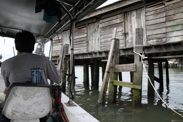 sepilok-mangrove-r_9495.jpg