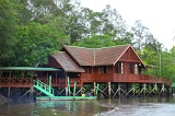 sepilok-mangrove-g_9382
