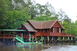 sepilok-mangrove-g_9382