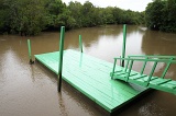 sepilok-mangrove-img_9011