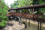 sepilok-mangrove-img_9039