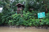 sepilok-mangrove-img_9068