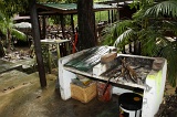 sepilok-mangrove-img_9080