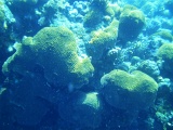 tabawan-p5210071