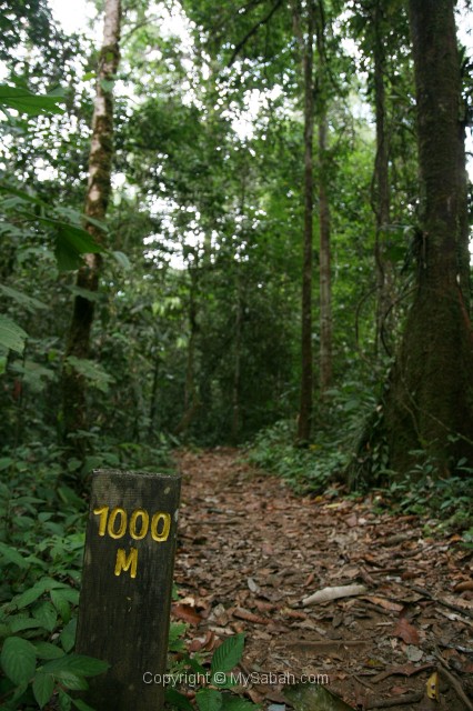 tawau-hills-park-img_6936.jpg