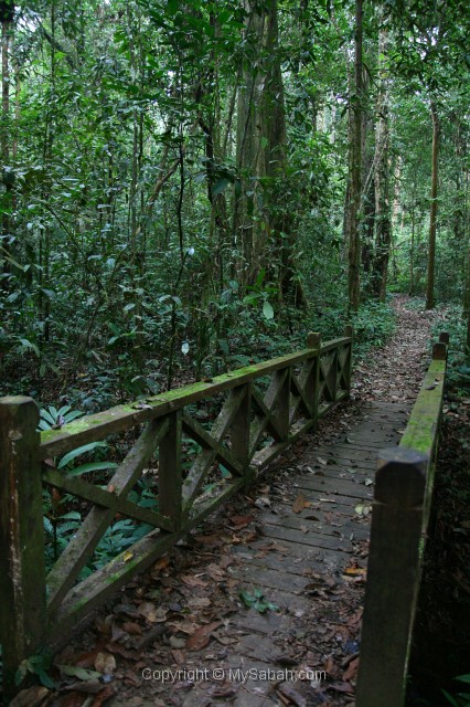 tawau-hills-park-img_6940.jpg