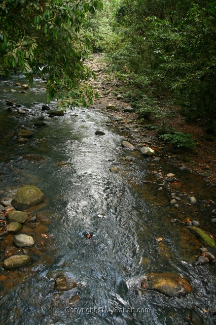 tawau-hills-park-img_7031.jpg