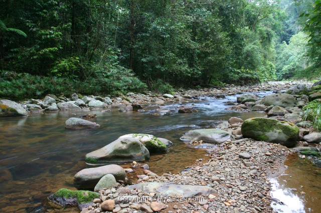 tawau-hills-park-img_7219.jpg