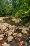 tawau-hills-park-img_0122