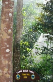 tawau-hills-park-img_0340