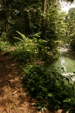 tawau-hills-park-img_6908