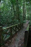 tawau-hills-park-img_6940