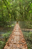 tawau-hills-park-img_7026