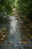 tawau-hills-park-img_7031