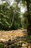 tawau-hills-park-img_7111