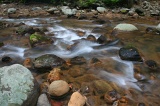 tawau-hills-park-img_7247