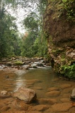 tawau-hills-park-img_7266