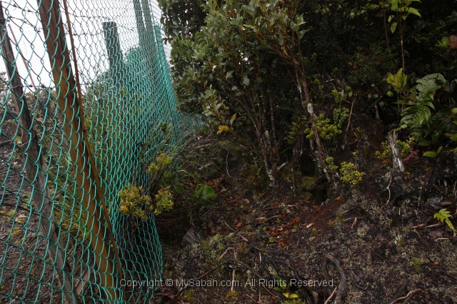 trus-madi-img_2170.jpg