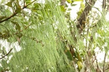 trus-madi-img_1939