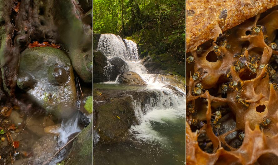 Boobs Rock, Waterfalls and Black Honeybees at Maranggoi, Kota Belud