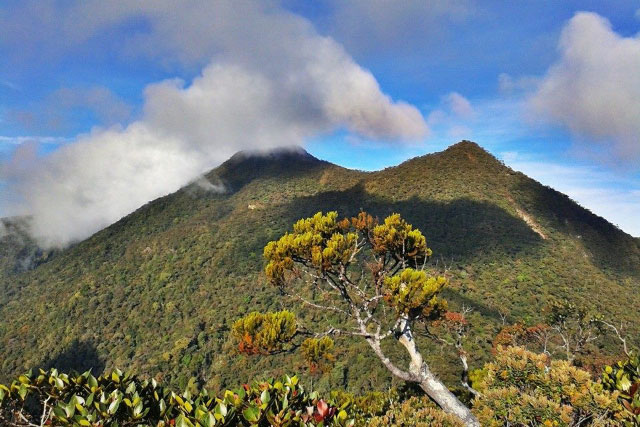 Guide to Climbing Mt. Trusmadi (Mt. Trus Madi)