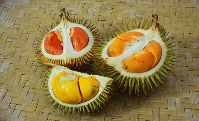 durian flesh in 3 colors