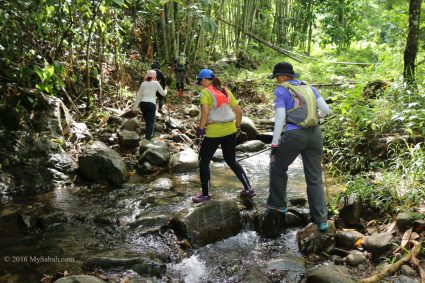 Crossing the creek