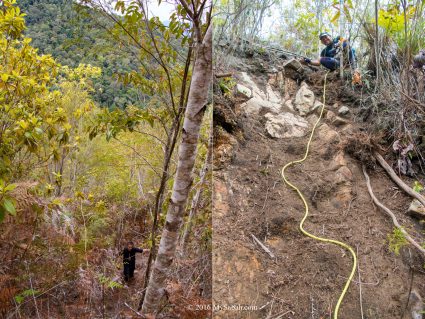 The last 1 KM trail to the top is quite steep