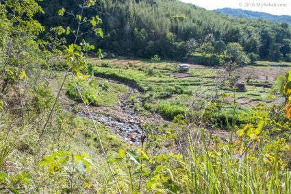 Scenic countryside view along the way