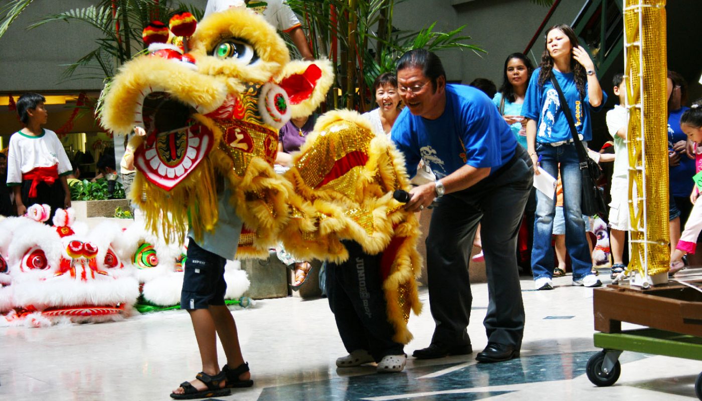 kid lion dance