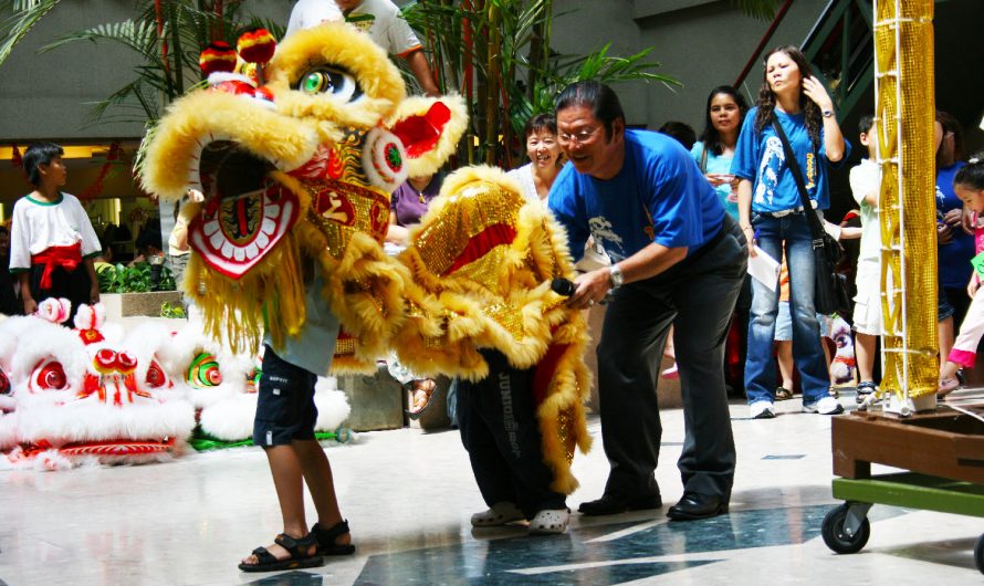 Children Lion Dance