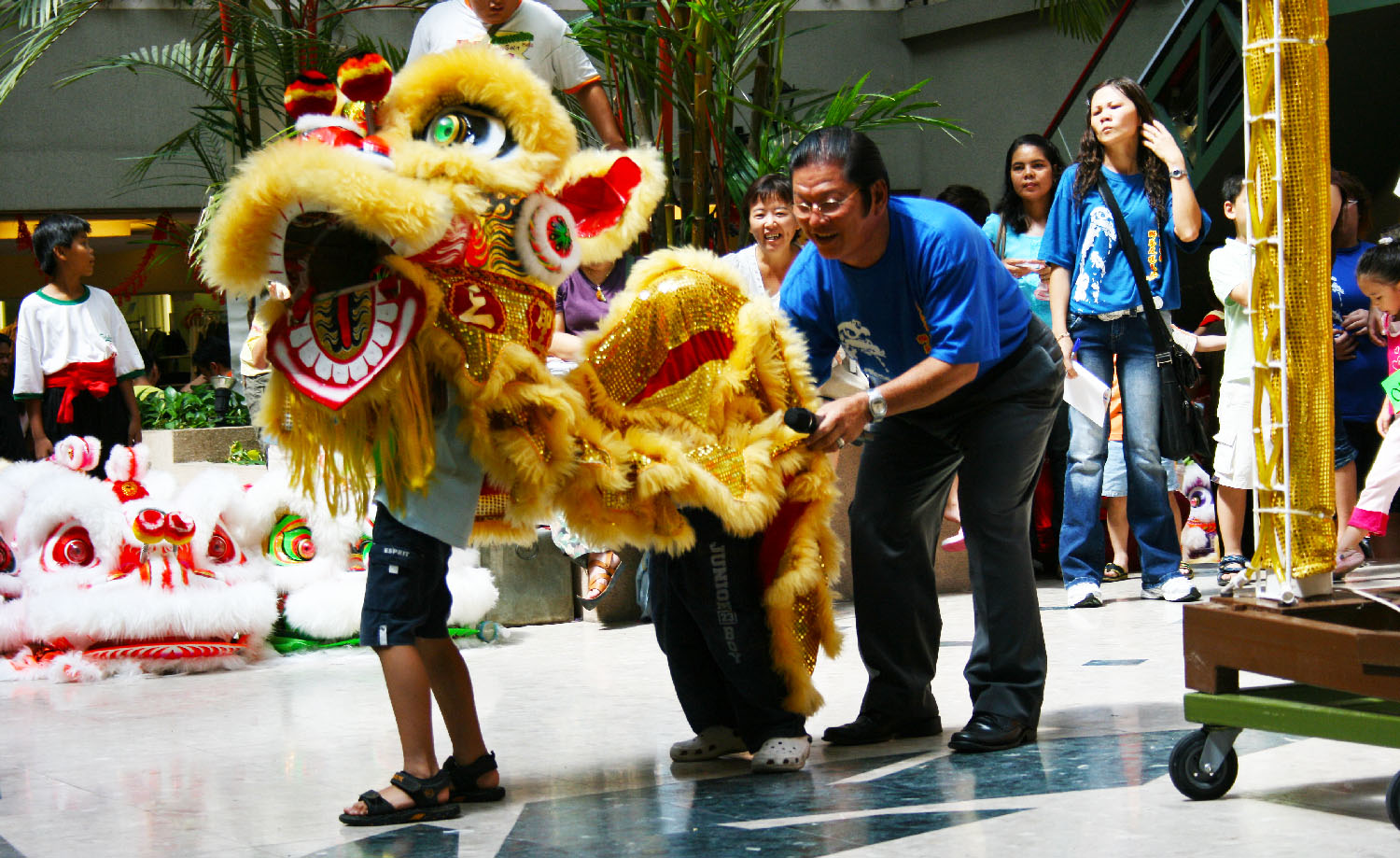 kid lion dance