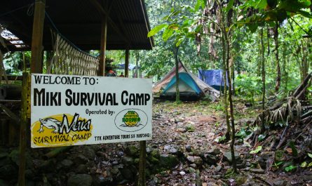 Miki Survival Camp