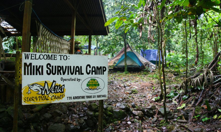 Miki Survival Camp – Part 2 of 3