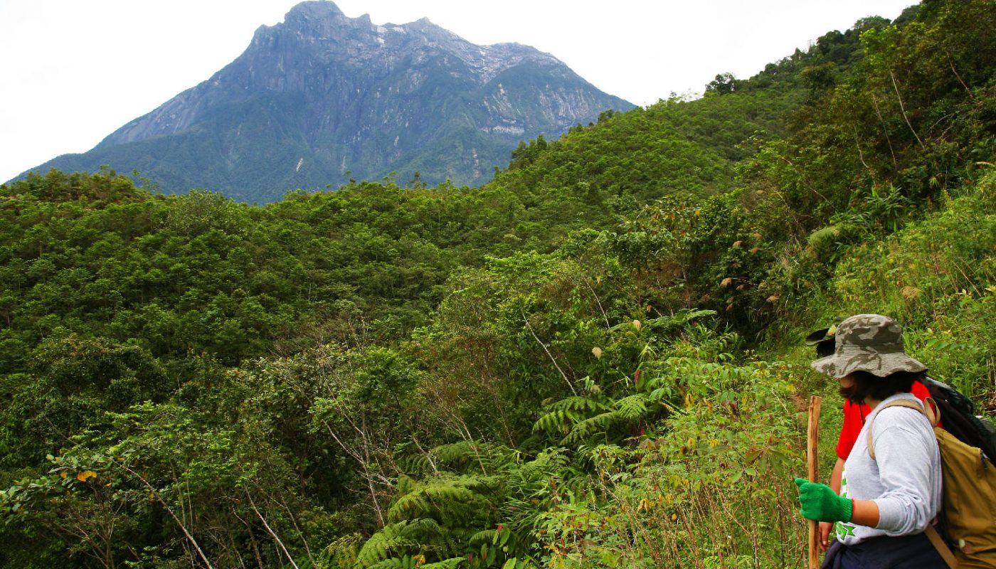 Hiking at Kampung Kiau