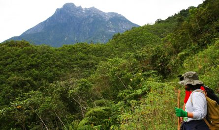 Hiking at Kampung Kiau