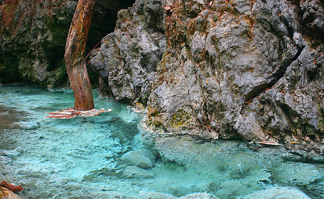 Sulphurous springs (Tawau Hills Park)