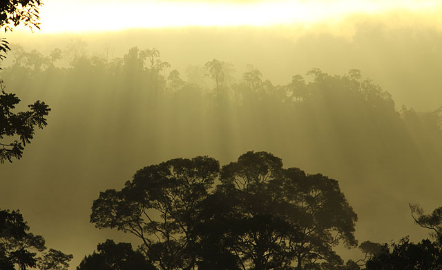 Sunrise of Maliau Basin