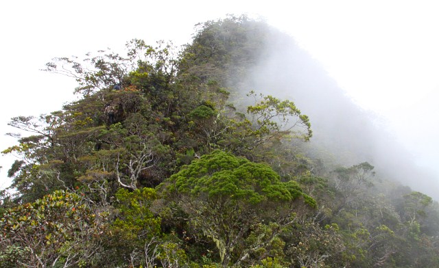 Climbing Mount Trus Madi, the 2nd highest mountain of Malaysia – Part 2 of 3